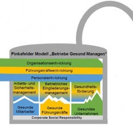 Das Pinkafelder Schlüsselmodell „Betriebe Gesund Managen“ 